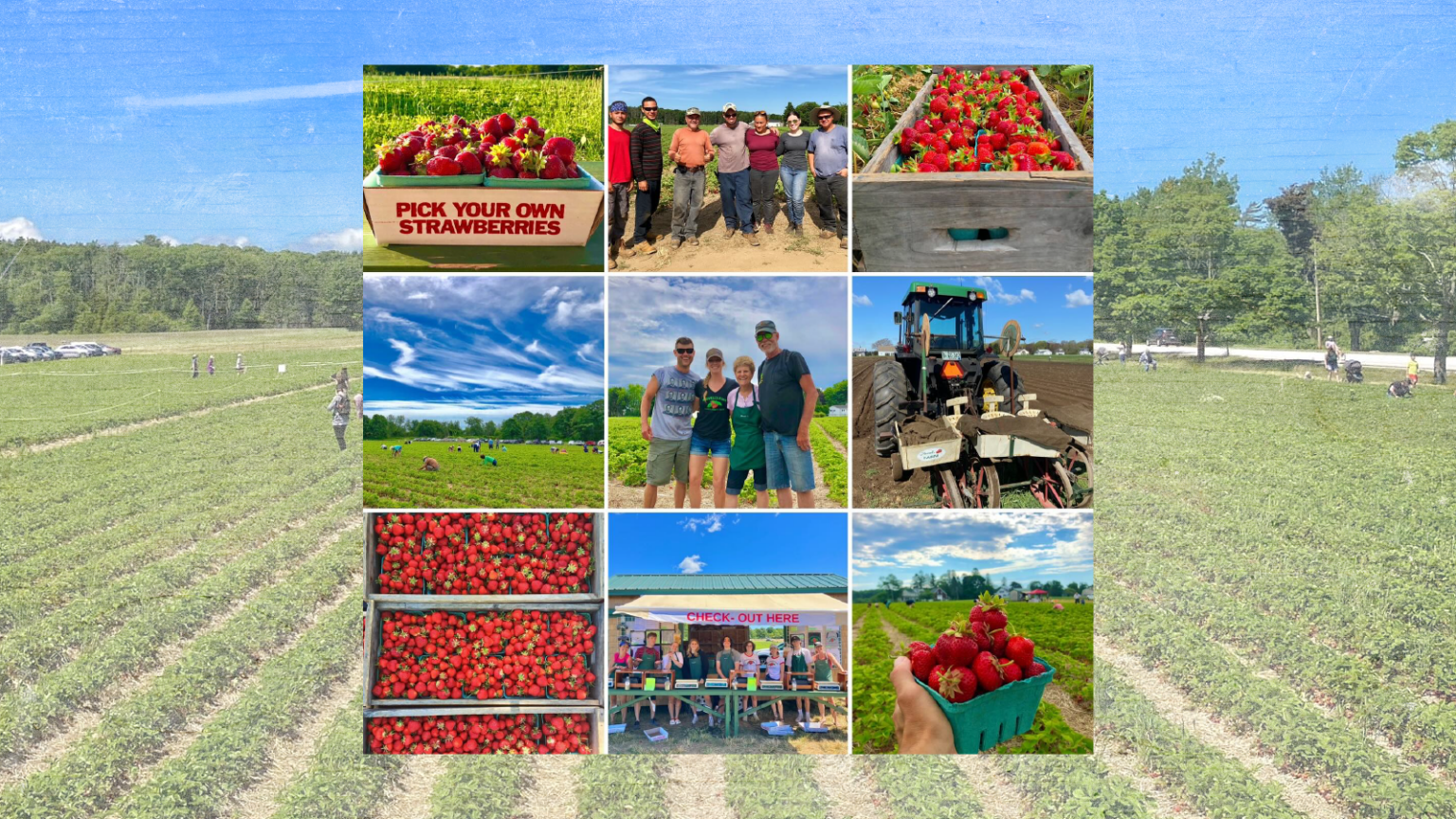 Maxwell’s Farm of Cape Elizabeth Closes Permanently After More Than 50 Years in Business