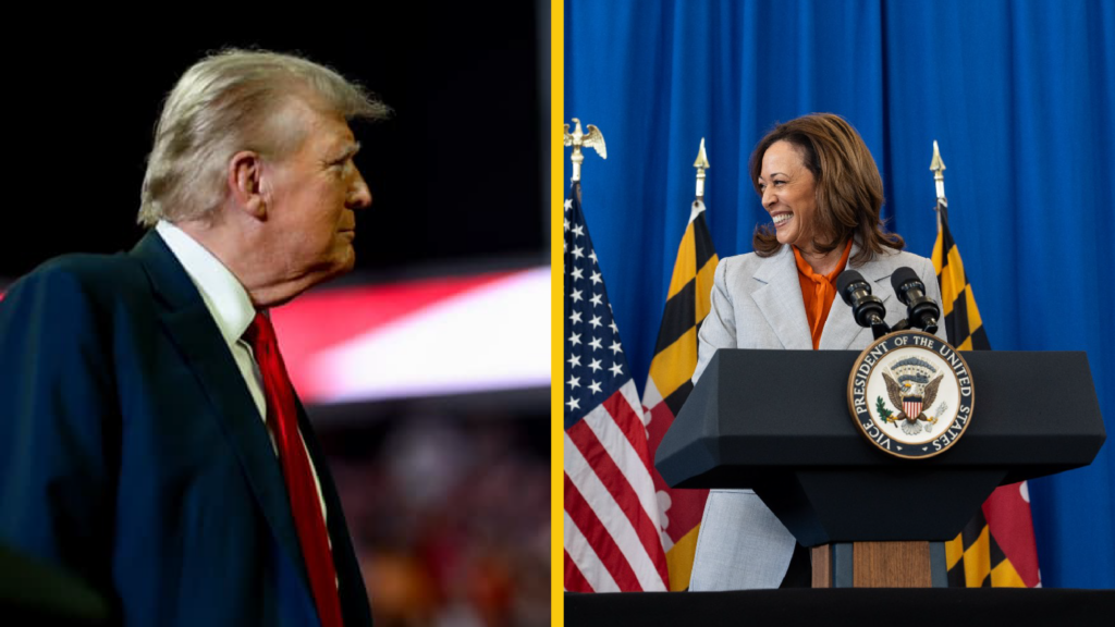 Shock Election Forecast Gives Trump 11 Point Lead Over Harris
