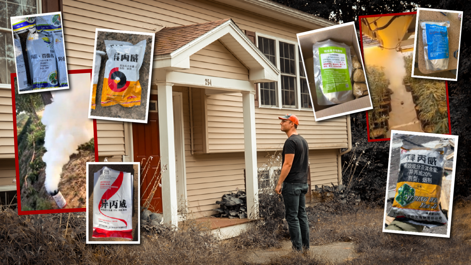 Illegal Chinese Neurotoxins Are Coming to Maine’s Blackmarket Cannabis Grows: Maine Threat Brief