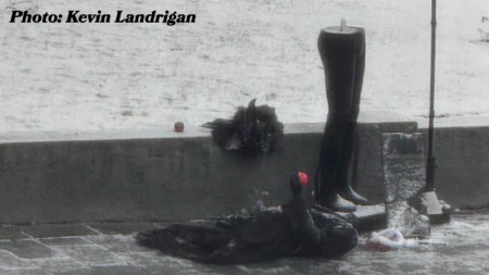 NH Satanic Holiday Display Destroyed and Removed Just Days after it was Erected