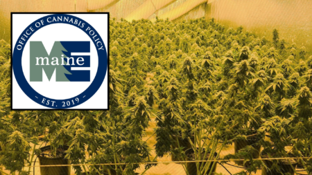 Maine Pot Czar Admits State Is Licensing Foreign Criminal Orgs to Grow Cannabis, Says Hands Tied