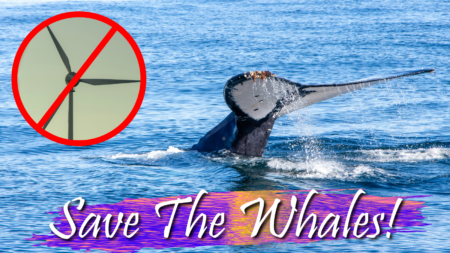 President Trump Planning Executive Order to Protect East Coast from Offshore Wind Development