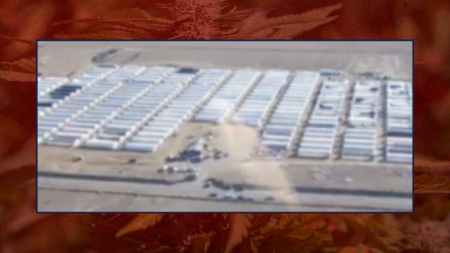 Federal Charges for Massive Chinese-Funded Illegal Marijuana Grow on Navajo Land in New Mexico