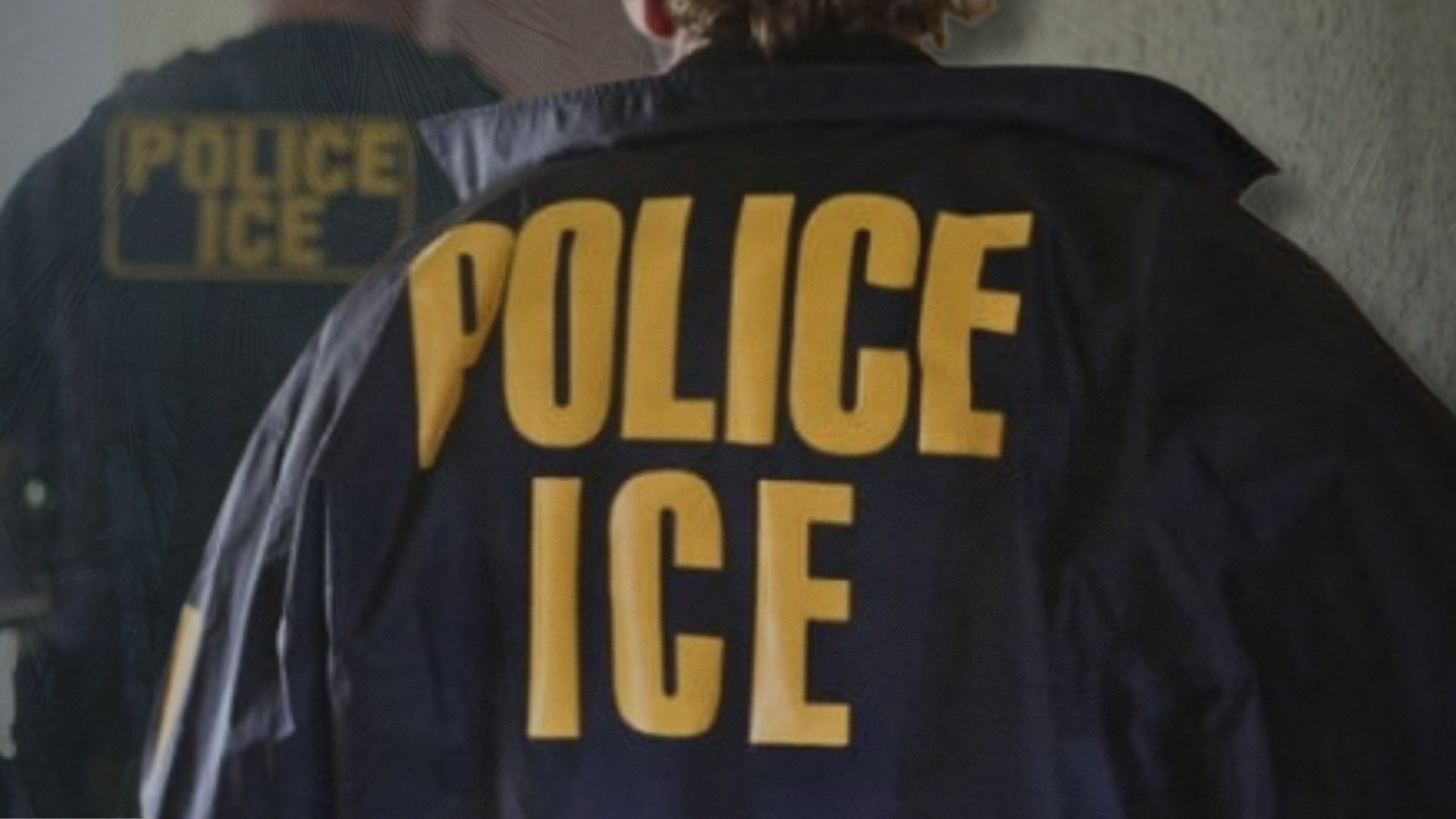 3x Deported Illegal Alien, Convicted of Assault and Weapons Charges, Pleads Guilty to Illegal Reentry