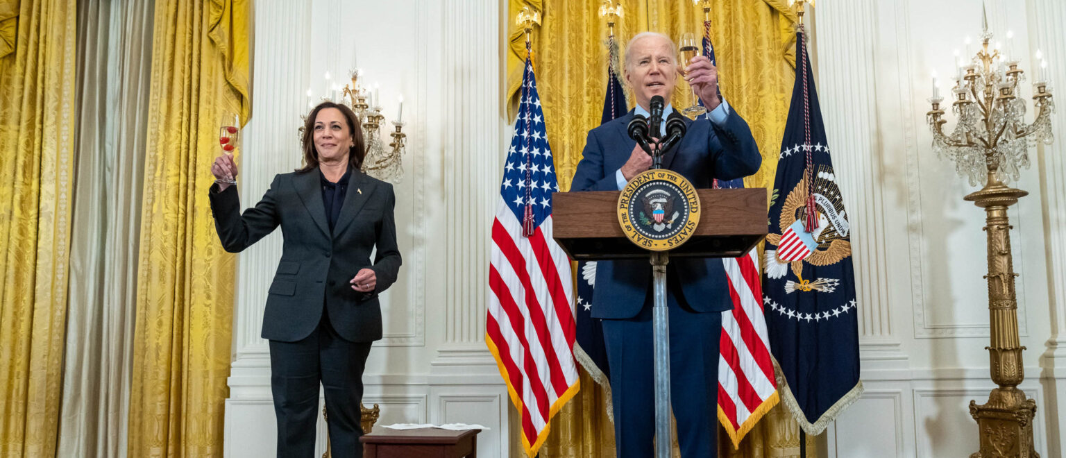 National Democrat Party Still In Disarray Over 2024 Loss To Trump, Can’t Figure Out Who To Blame