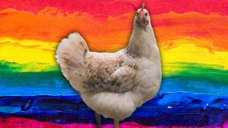 Maine Nonprofit to Host ‘Queer Wildlife Day’ to Show ‘how queerness exists in animal relationships and behaviors’