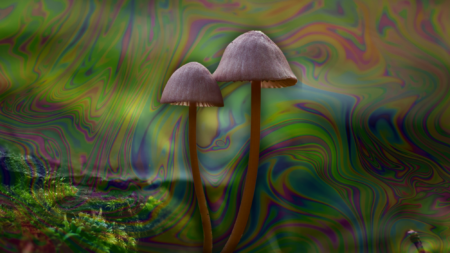 Bipartisan Group of Maine Lawmakers Sponsor Bill to Decriminalize Possession of Psilocybin ‘Magic Mushrooms’