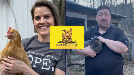 Bok-Bok: Maine Republicans Dispute How Best to Protect the Rights of Chickens Owners from Regulation