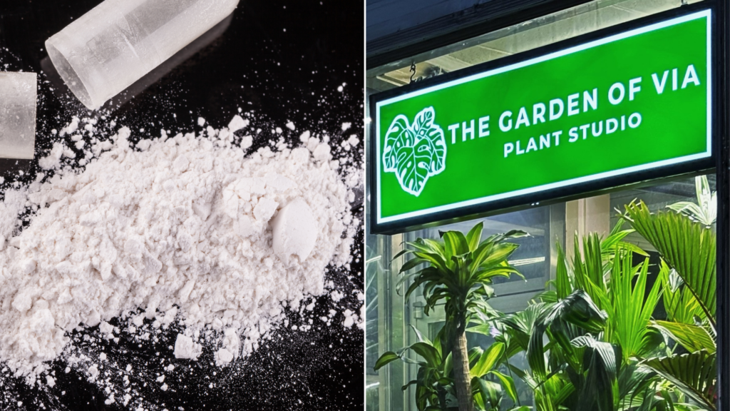 Hey, That’s Not Miracle Grow: Owner of Lewiston Plant Nursery Charged for Trafficking Cocaine, Ecstasy