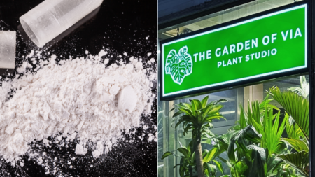 Hey, That’s Not Miracle Grow: Owner of Lewiston Plant Nursery Charged for Trafficking Cocaine, Ecstasy