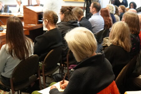 Republicans Testify on Raft of Gender-Related Bills in Contentious Public Judiciary Committee Hearings