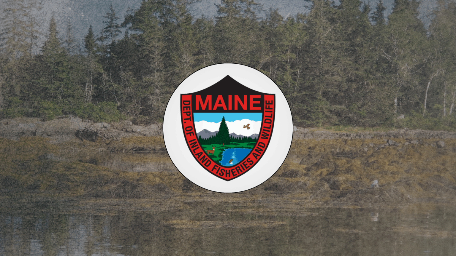 Mainers on Social Media Vent About Department of Wildlife and Inland Fisheries After Former Warden Exposes the Agency for Going Woke