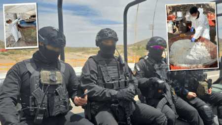 ICE Announces Mexican Takedown of Three Synthetic Drug Labs as Part of Cross-Border Collaborative Effort