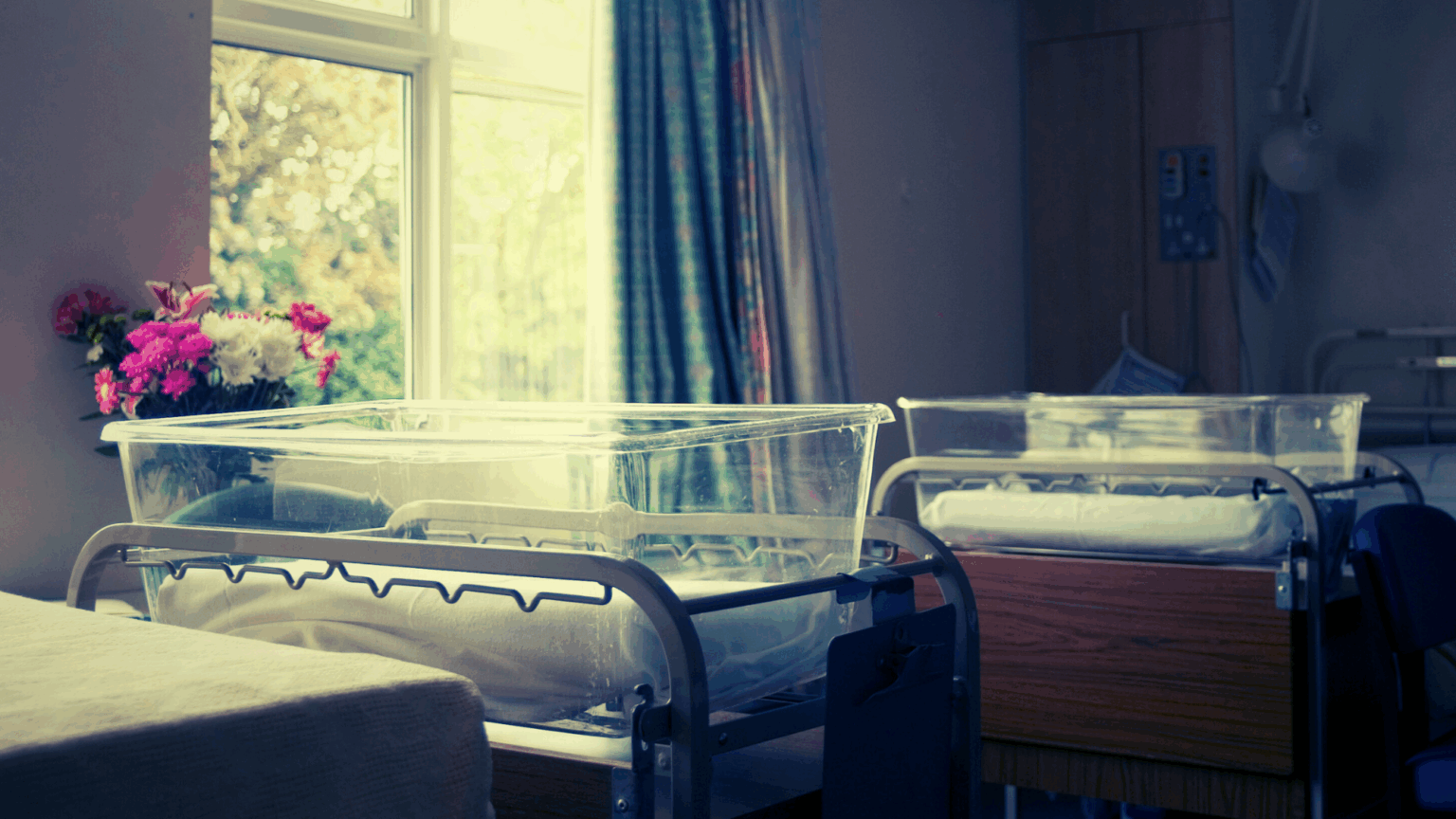 Mount Desert Island Hospital Disciplines Nurses Who Protested the Closure of Its Maternity Ward