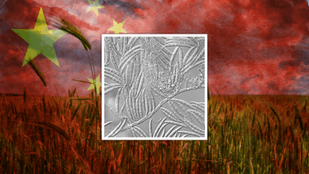 Chinese Nationals Caught Trying to Smuggle Dangerous Biological Agent Into the U.S.