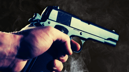 Lawyers, Guns and Money – Gun Control Groups Gave Over Six Figures to Maine Dems in 2024 Election Cycle