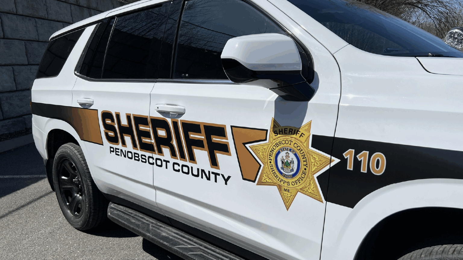 Red Flag Vigilante: Dixmont Woman Accused of Stealing Rifle from Home