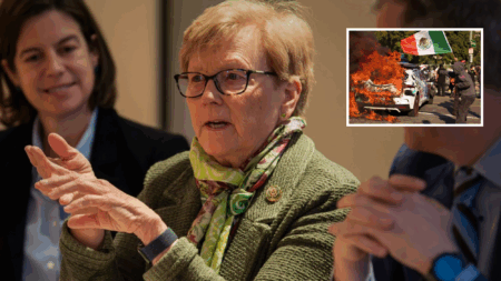 Pingree Votes Against Condemning Violent Anti-ICE Riots in LA While Golden Supports Resolution