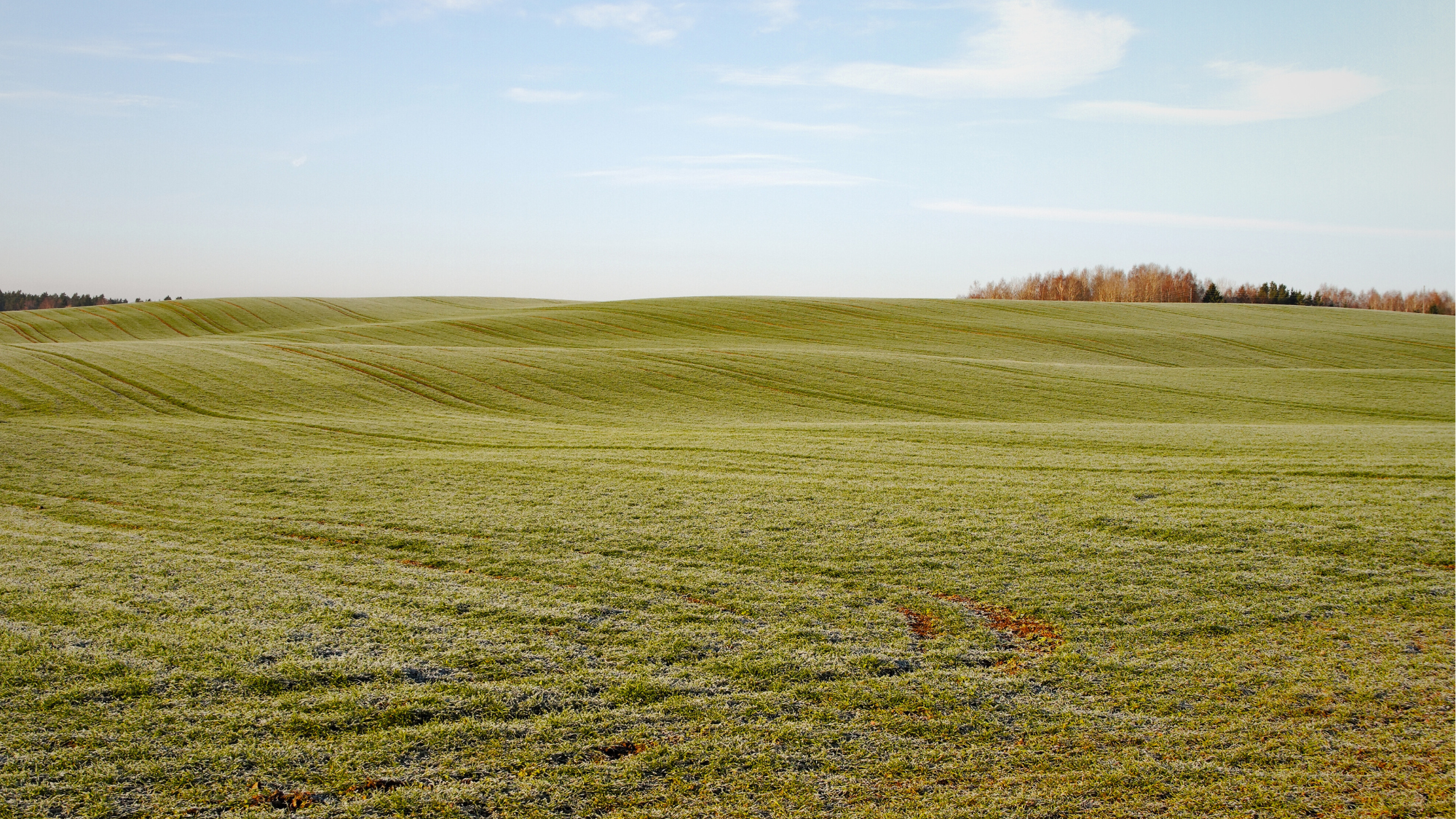 Somerset County Commissioners Object to Federal Purchase of 1,800 Acre Land Tract