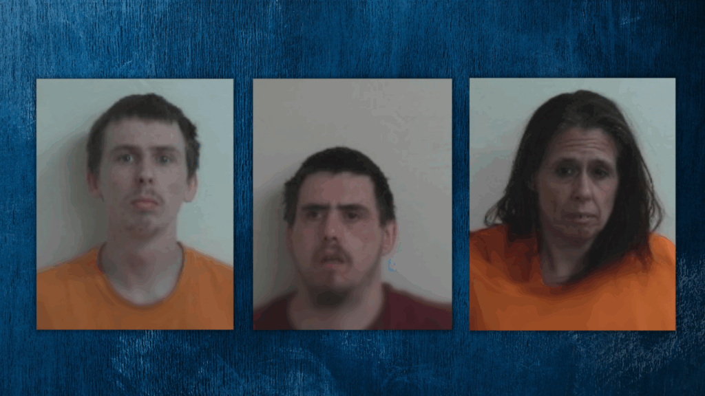 Three Arrested for Burglary of Dixfield Convenience Store