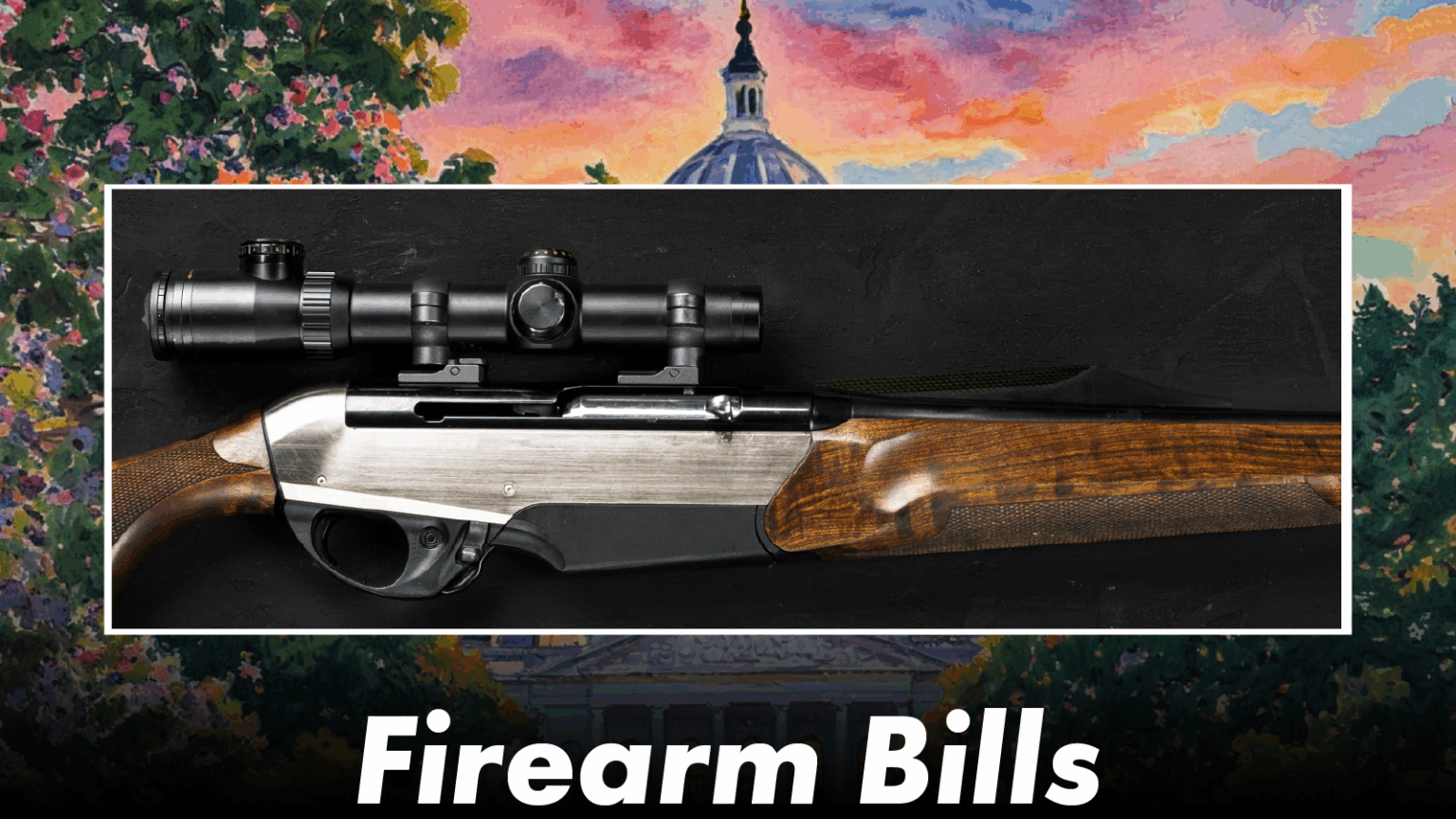Committee Says Gun Bills Headed to Floor Will Have Serious Impacts on Criminal Justice System