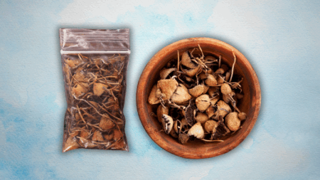 Flipping and Tripping, the House Votes by a Margin of One to Legalize Magic Mushrooms