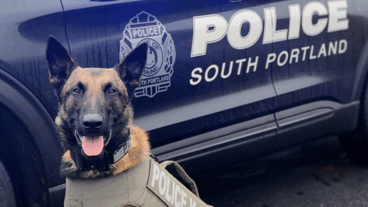 South Portland Police Apprehend Suspect Using K9s, Drone After Stabbing Near Main Street
