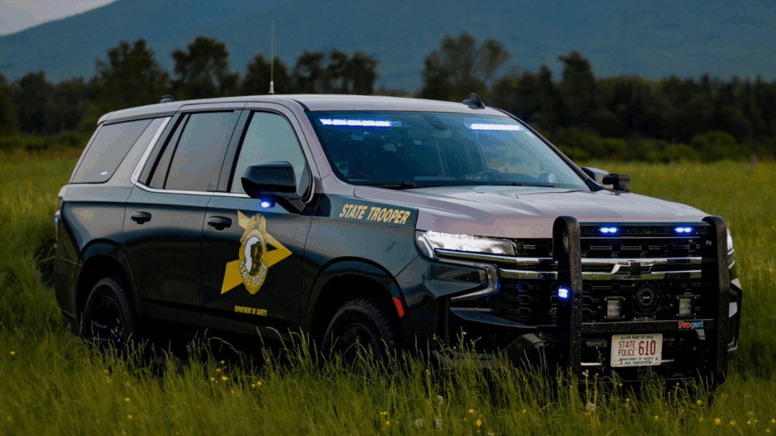 Dog Helps Nab Wagg: NH Man Leads Police on an Early Morning Chase Across New Hampshire and Maine
