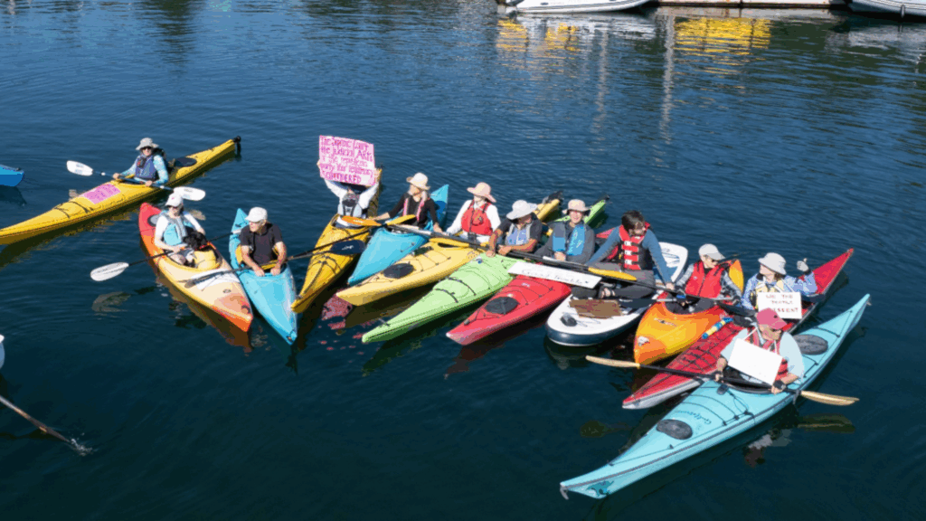 Flotilla of Disgruntled Maine Kayakers Take Short Trip to Complain About Chief Justice John Roberts