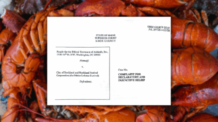 Weird Performative Art: ‘Human Lobster’ To Be ‘Scalded Alive’ by PETA at Maine Lobster Festival