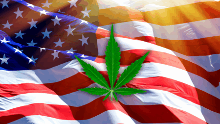 Operation Take Back America: Chinese Nationals Plead Guilty in $92M Drug Money Laundering Scheme