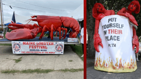 ‘Steaming Mad:’ PETA Sues to Shut Down World’s Largest Lobster Cooker at Maine Festival
