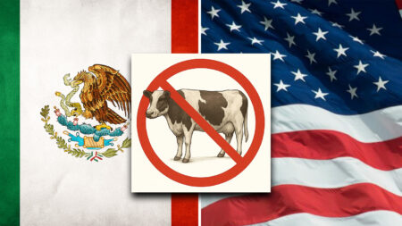 USDA Shuts Down U.S. Mexico Livestock Trade to Contain Deadly Flesh-Eating Parasite Spreading in Mexico That Can Devastate Herds and Infest Humans