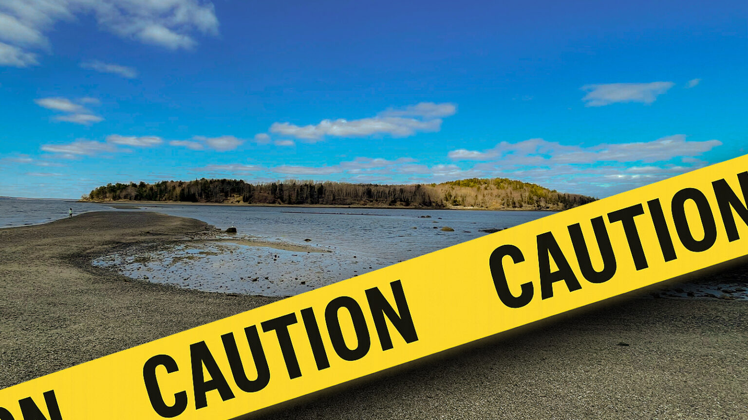Ocean Nightmare: Flesh-Eating Bacteria May Be Coming To A Maine Beach Near You