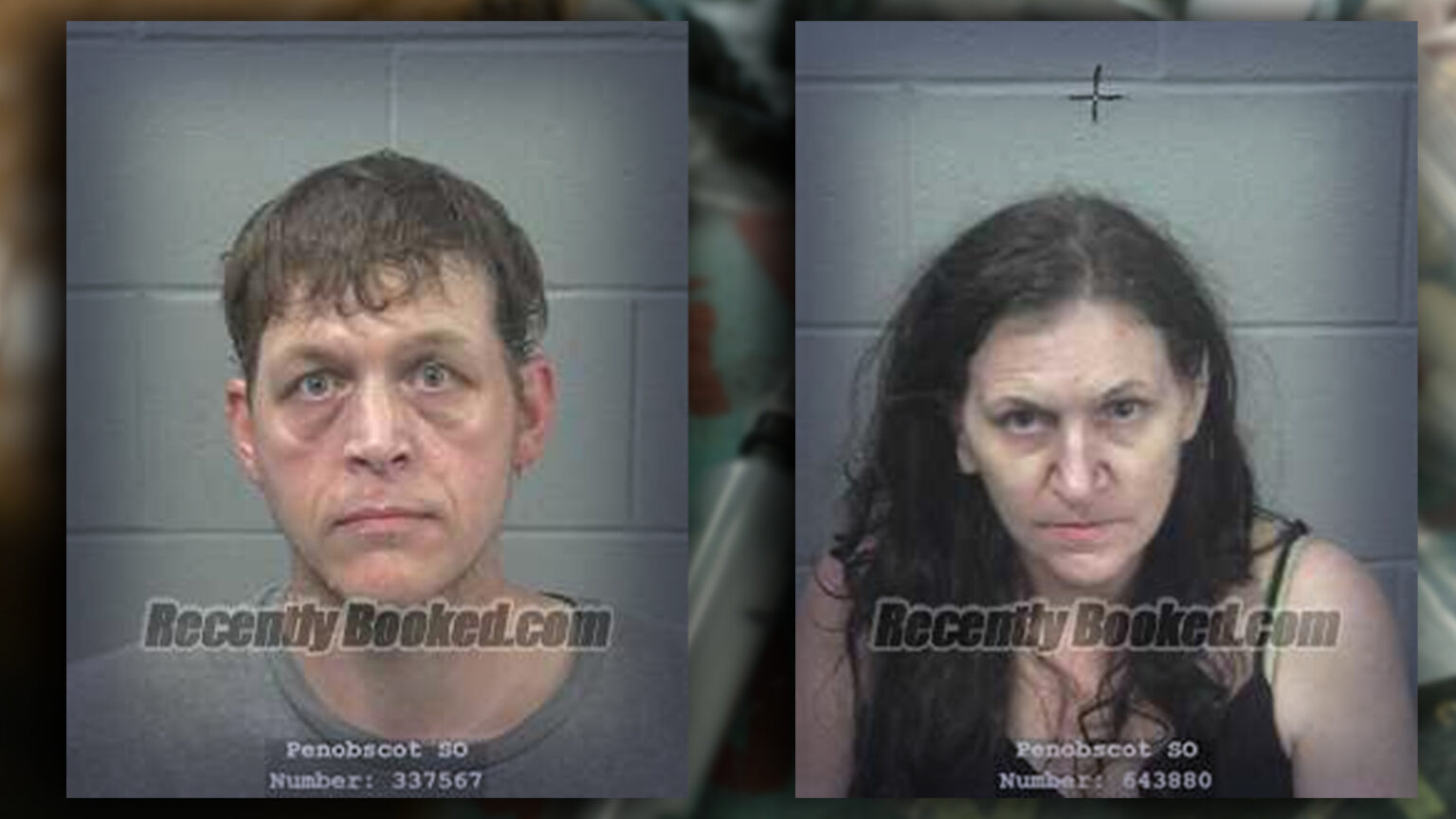 Penobscot Deputies Bust Drug Traffickers in Patten With Help from Federal Authorities