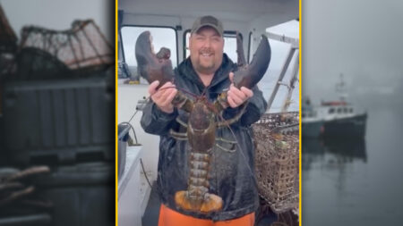 Sea Monster: GOP Minority Leader Snares Biggest-Ever Bug He’s Seen Since Bellows