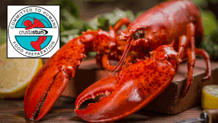 Clawback: ‘Painless’ Way to Cook Your Labor Day Lobster With New $5,000 ‘CrustaStun’ Appliance