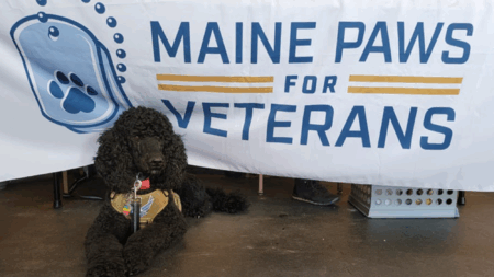 Maine Paws For Veterans To Hold Golf Tournament for Program That Brings Vets, Service Members, and Pups Together for Mutual Support
