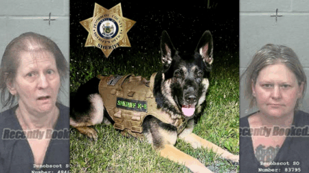 Drug Raids Involving K-9 Units Lead to Seizure of Fentanyl, Firearms, and Over a Kilogram of Methamphetamines