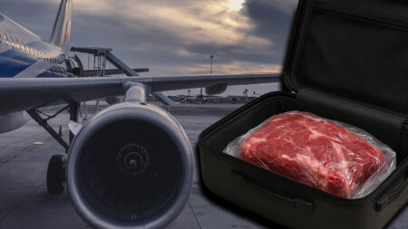 Is the Portland Jetport Equipped to Detect Smuggled Monkey Meat? Thankfully for Michigan, Detroit’s Is