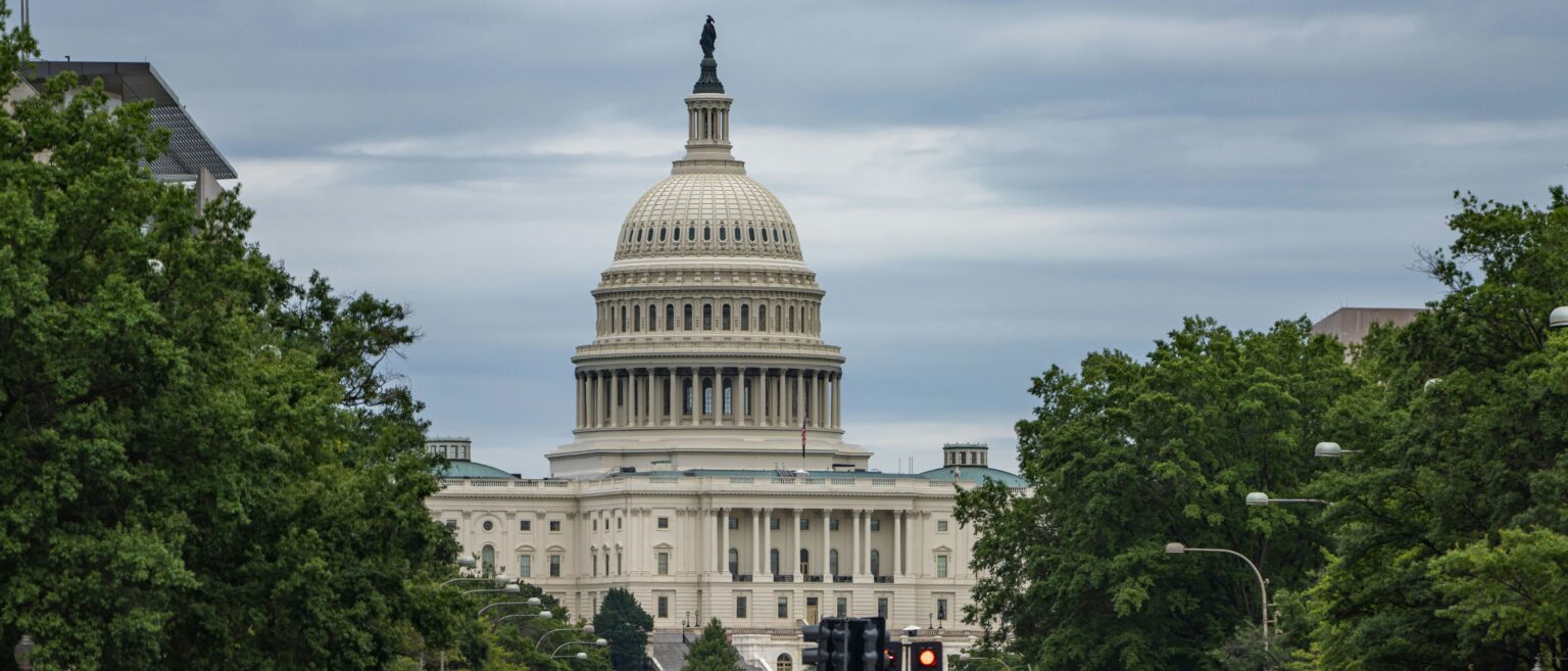 DOGEâs âBig Ballsâ Savagely Beaten Saving Woman From Carjacking In DC