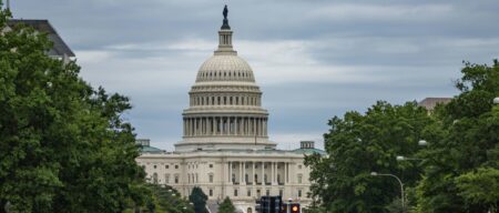 DOGE’s ‘Big Balls’ Savagely Beaten Saving Woman From Carjacking In DC