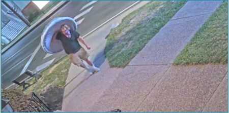 Shroom With A View: Maine Police Have A Brazen Mushroom Thief On Video Cam