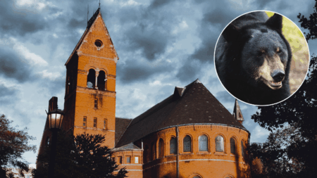 UMaine Black Bears Have A Downbeat Mascot Competitor At Cornell – A Butchered Black Bear