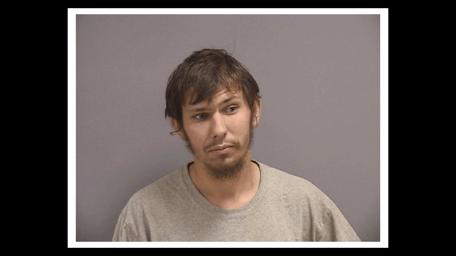 Pittsfield Man Arrested for Sexually Abusing a Dog