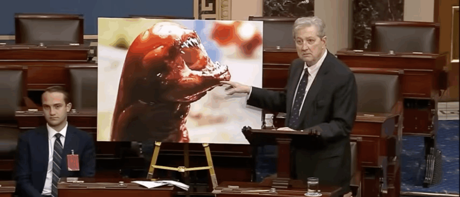 Eat Only Local: Sen. John Kennedy Sounds Alarm About Radioactive Shrimp That âCould Turn You Into The Alienâ