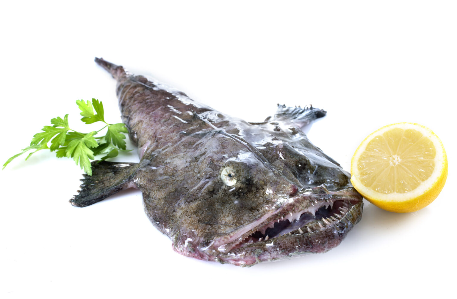 Green Foreign Crabs Conspire With Chefs To Disguise Monkfish As Lobster
