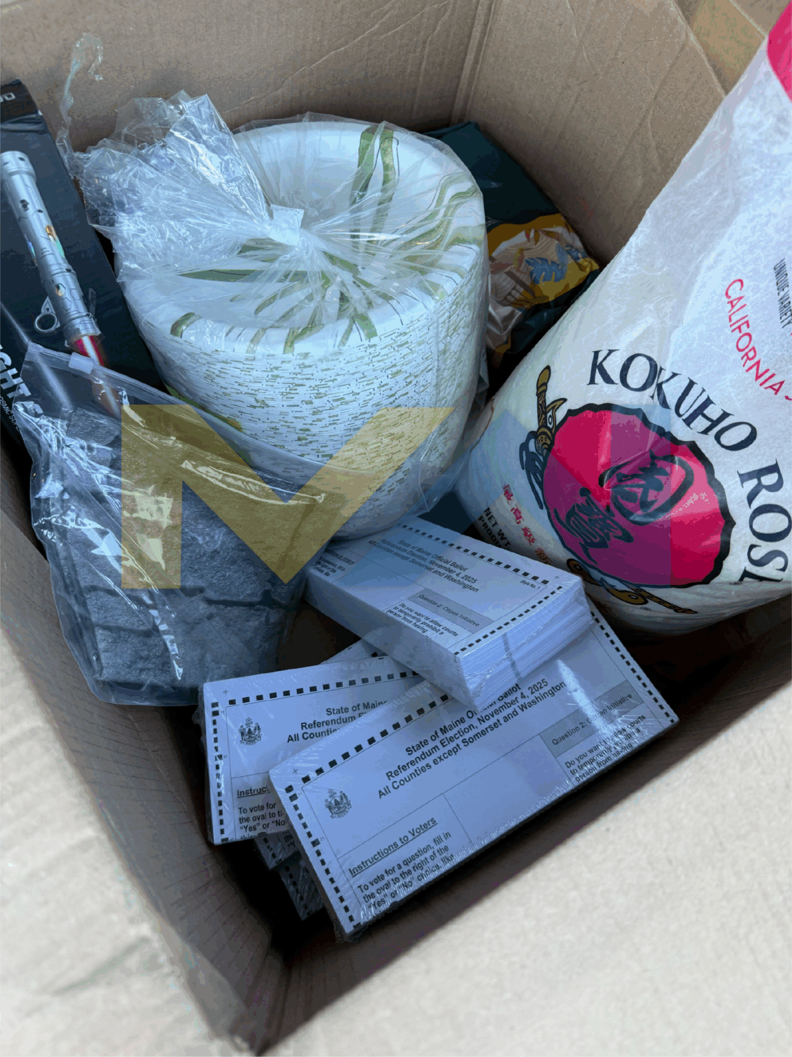 Maine Woman Discovers Hundreds of Election Ballots in Amazon Package as State Considers Voter ID