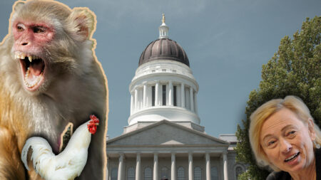 Echoes of Bill Hathaway in Mills’ Quixotic Quest