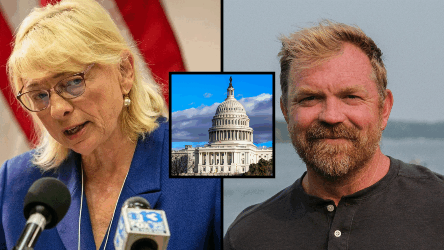 Prominent Democrat Voices are Angry with Their Party Establishment for Urging Mills to Run for Senate Against the More Radical Platner